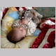 DSC02473.html