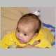 DSC02336.html